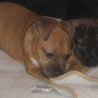 Photo #220781 de Easy