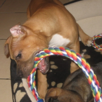 Photo #220793 de Eden