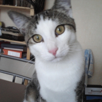 Photo #220814 de Enzo