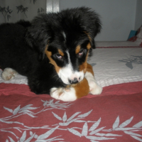 Photo #220832 de Earley