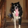 img0344gj3