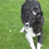 img0354yh2