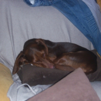 Photo #220878 de Tequilla