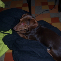 Photo #220879 de Tequilla