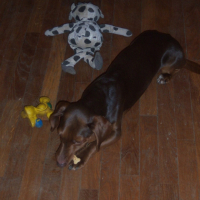 Photo #220880 de Tequilla