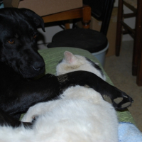 Photo #220892 de Diego