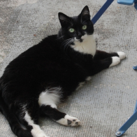 Photo #220961 de Nikita