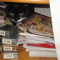 Photo #220964 de Nikita
