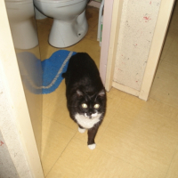 Photo #220967 de Nikita