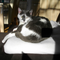 Photo #221016 de Myrtille