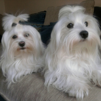 Photo #221031 de Sissy & maya