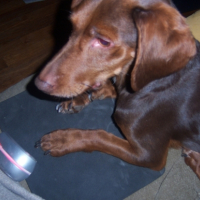 Photo #221057 de Tequilla