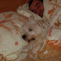 Photo #221242 de Bounty