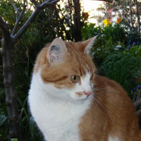Photo #221250 de Mahé