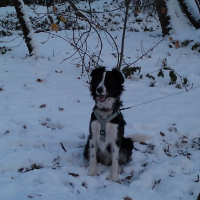 Photo #221301 de Nevada