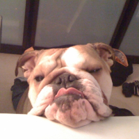 Photo #221306 de Eazy
