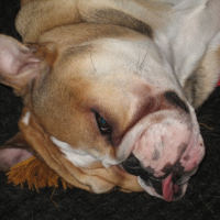 Photo #221322 de Eazy