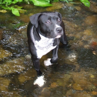Photo #221323 de Daja