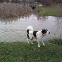 Photo #221331 de Titus