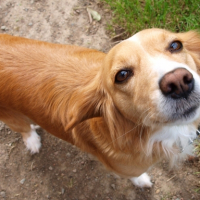 Photo #221333 de Aby