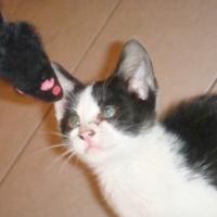 Photo #221346 de Mooky
