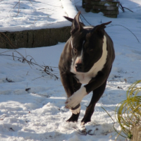Photo #221354 de Luna