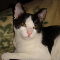 Photo #221368 de Mooky