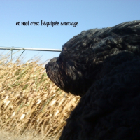 Photo #221379 de Reglisse