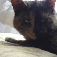 Photo #221496 de Lili