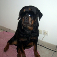 Photo #221636 de Oneil