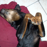 Photo #221646 de Oneil