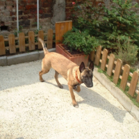 Photo #221680 de Ucka