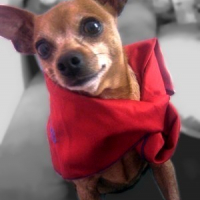 Photo #221704 de Ruby