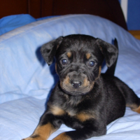Photo #221715 de Leelou