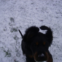 Photo #221720 de Eden
