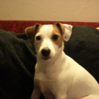 Photo #221722 de Cally