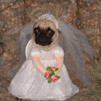 Photo #221740 de Genna-lisa