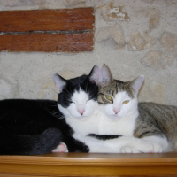 Photo #221769 de Fury