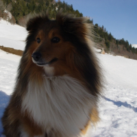 Photo #221776 de Théo