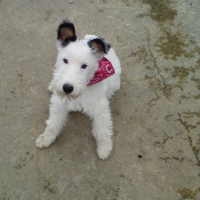 Photo #221788 de Enoa