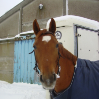 Photo #221789 de Raivery