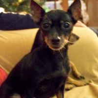 Photo #221815 de Rhina