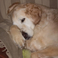 Photo #221838 de Alaska