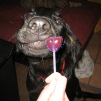 Photo #221864 de Boulette