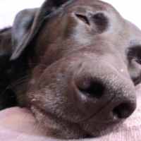 Photo #221873 de Keo