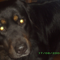 Photo #221877 de Zorro
