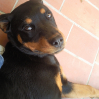 Photo #221884 de Neela