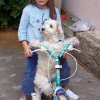 Princesse fait du vélo
