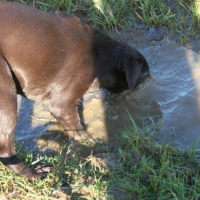 Photo #221952 de Elfy
