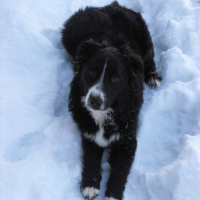 Photo #221978 de Lilou